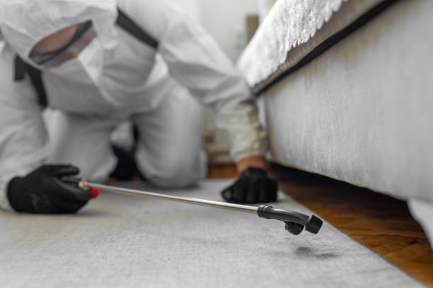 Professional Cockroach Control technician working in Bowdon, GA